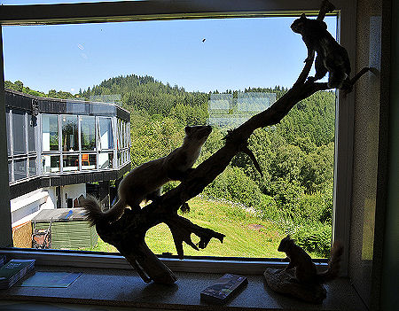 Rear of Lodge Seen from Exhibition