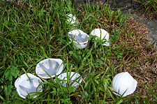 Bring Your Hard Hats...