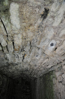 Poor State of Vaulted Ceiling