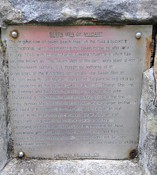 The Plaque