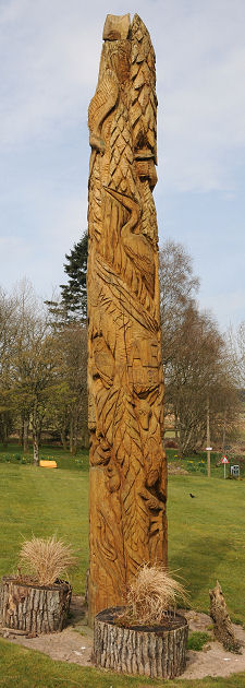 View of the Full Pole