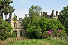 The Ruin of Dunmore Park