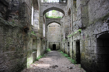 At the Cellar Level in the Front Range