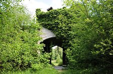 Overgrown Stable Courtyard