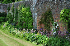 Herbaceous Border