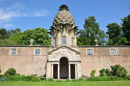 Another View, With Less Vegetation