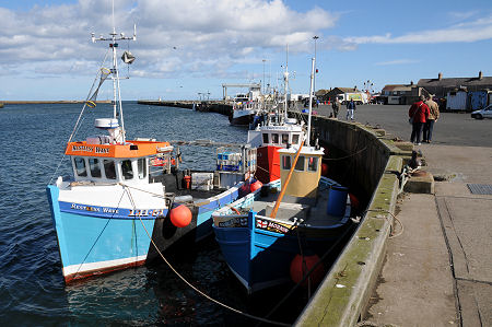 Amble Harbour