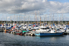 Amble Marina
