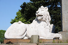Recumbent Lion