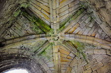 Vaulting in the Lion Tower