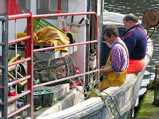 Working on the Lobster Pots