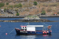 Fishing Boat: Michelle