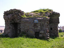 Vaulted Structure from the North
