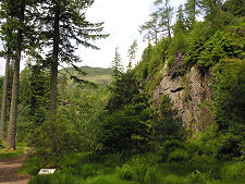 Benmore Botanic Garden