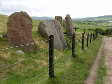 Seen from the Farm Track