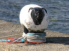 Sheep-Shaped Bollards