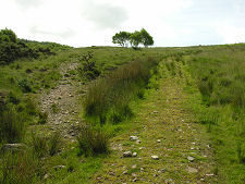 Unmarked Junction (Keep Left)