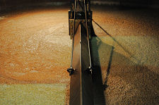 Inside the Mash Tun