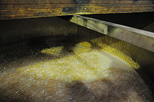 Active Fermentation in a Washback