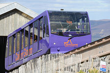 The Original Purple Colour Scheme