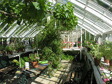 Greenhouse
