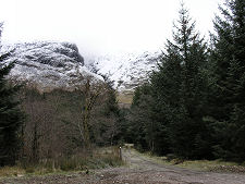 Forest Track to James Stewart's Birthplace