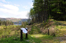 Unmarked Split in the Path: Take the Low Option