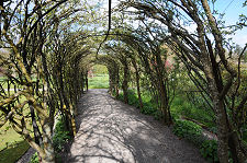 The Laburnum Arch