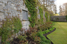 Memorial Rose Garden
