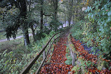 The Path from the Car Park
