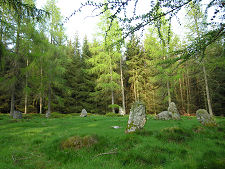 Another View of the Full Circle