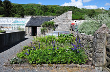 Kitchen Garden