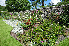 Rose Gardens in Summer