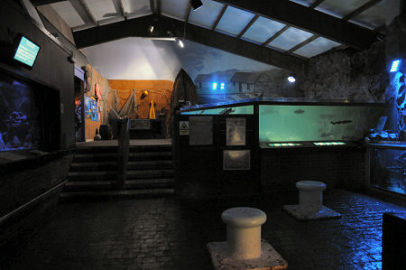 Main Building Showing One of the Large Tanks