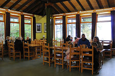 Shoreline Restaurant