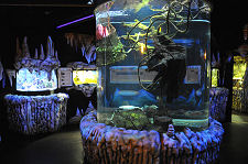 More of the impressive Aquaria