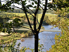 A Glimpse of the Bridge