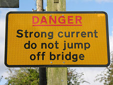 In Case You Were Wondering...