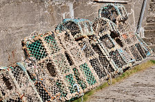 Lobster Pots