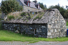 Thatched Roof