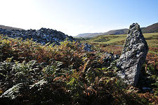 Coille na Borgie Cairns