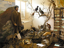 The Life of the Keeper