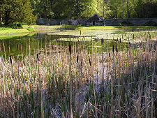 East End of the Hercules Garden