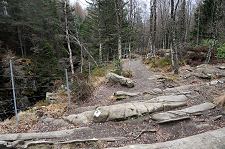 Lower Reaches of the Path