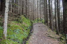 Upper Path, West Side