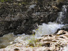 Closer View of the Soldier's Leap