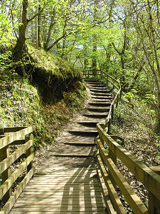 Steps Below the Visitor Centre