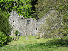 Distant View with Surrounding Trees