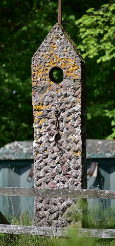 Another View of the Tron