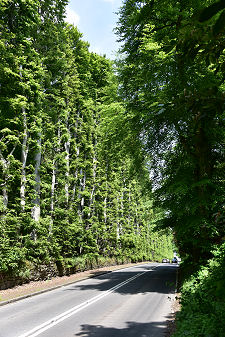 View from the South, June 2021